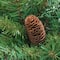 24" Dakota Red Pine Artificial Wreath with Pinecones